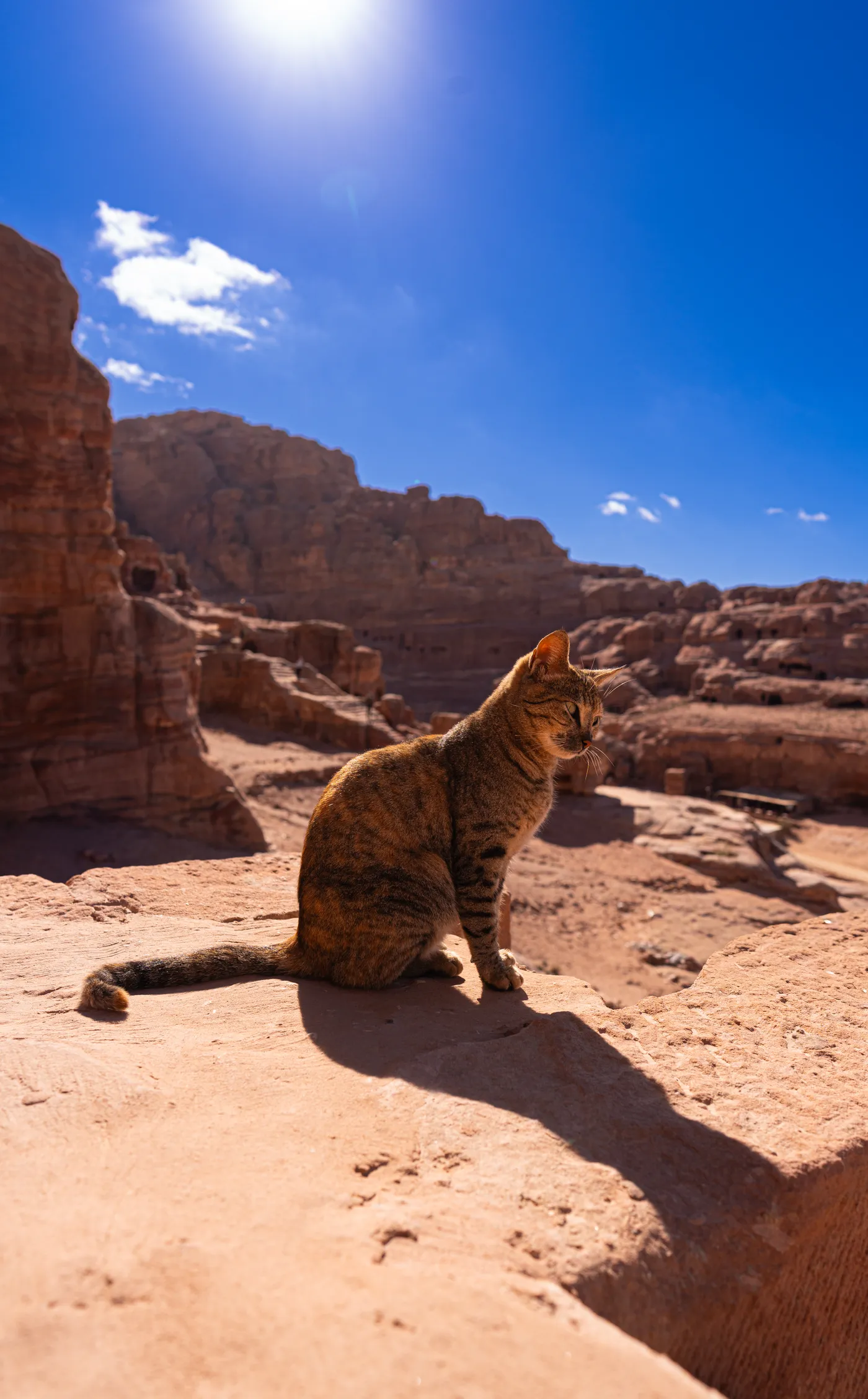Rocky landscape viewed through a stone arch in Wadi Musa, Petra, Jordan